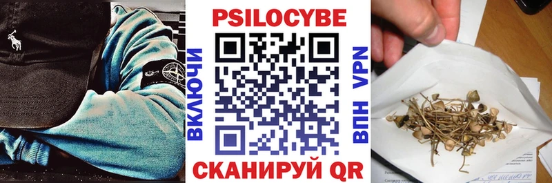 Псилоцибиновые грибы Psilocybe  ОМГ ОМГ как войти  Димитровград 