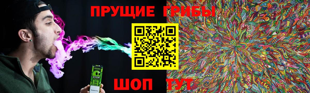 Димитровград  Галлюциногенные грибы мухоморы  Вход с VPN 