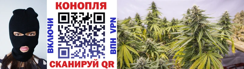Бошки марихуана конопля  darknet формула  Димитровград 