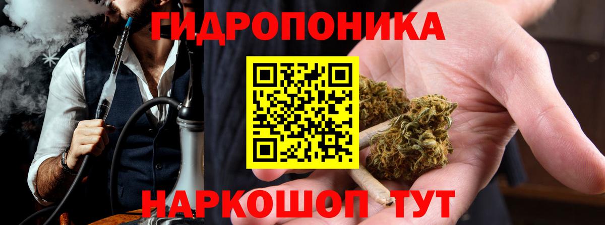 МАРИХУАНА сатива Димитровград